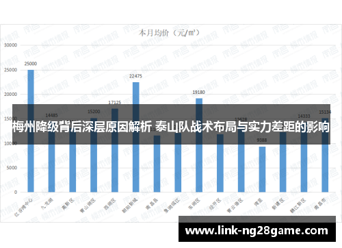 梅州降级背后深层原因解析 泰山队战术布局与实力差距的影响