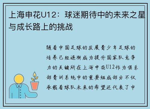 上海申花U12：球迷期待中的未来之星与成长路上的挑战