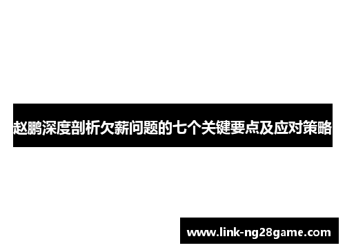 赵鹏深度剖析欠薪问题的七个关键要点及应对策略