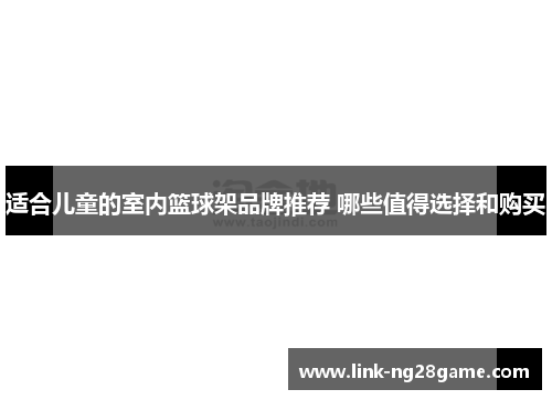 适合儿童的室内篮球架品牌推荐 哪些值得选择和购买