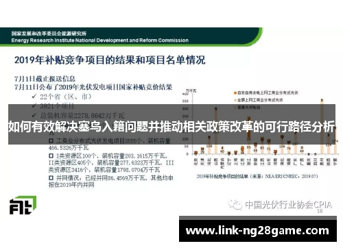 如何有效解决塞鸟入籍问题并推动相关政策改革的可行路径分析