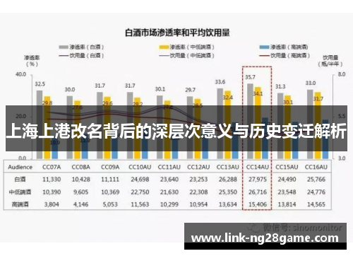 上海上港改名背后的深层次意义与历史变迁解析