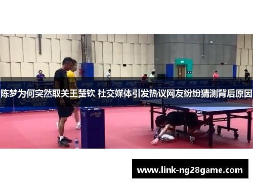 陈梦为何突然取关王楚钦 社交媒体引发热议网友纷纷猜测背后原因