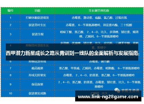 西甲潜力新星成长之路从青训到一线队的全面解析与发展指南